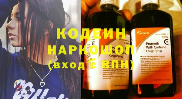 PSILOCYBIN Алзамай