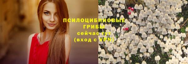 apvp Алексин